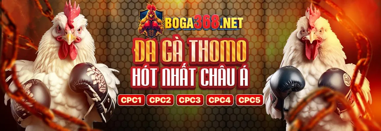 Điều khoản và điều kiện Cwin666